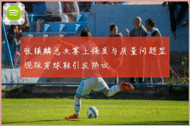 张镇麟总决赛上强度与质量问题显现踩穿球鞋引发热议